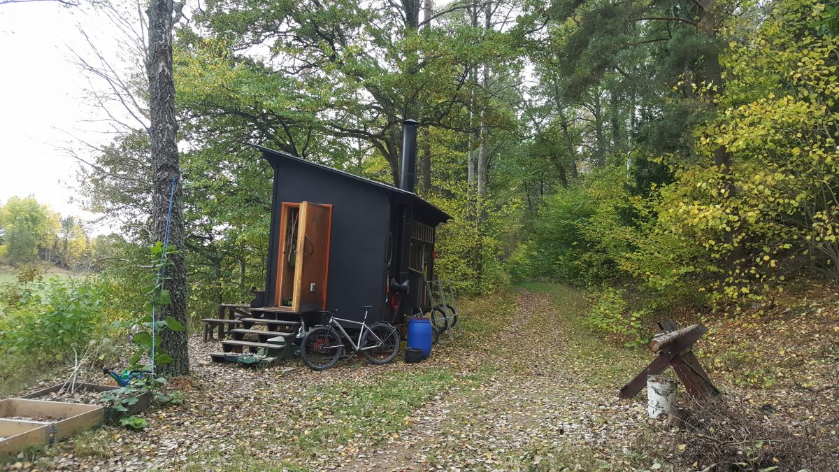 Skogsvattnet, frosten