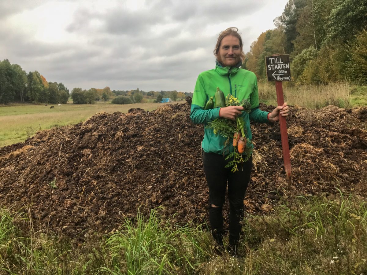 Den Austenska broccolins vara eller icke vara